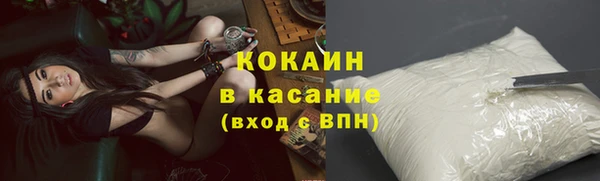 эйфоретик Бородино