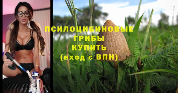 дурь Бугульма