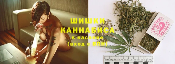 эйфоретик Бородино