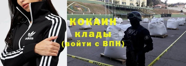 эйфоретик Бородино
