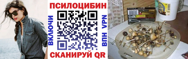 где можно купить наркотик  Осинники  Псилоцибиновые грибы Psilocybine cubensis 